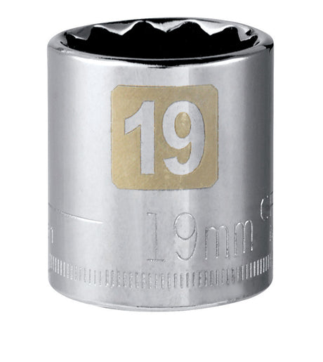 Craftsman 19 mm X 3/8 in. drive Metric 12 Point Standard Socket 1 pc
