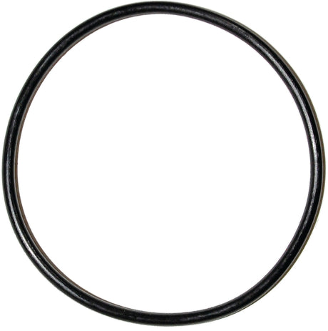 Danco 35766B Faucet O-Ring, #52, 1-5/8 in ID x 1-3/4 in OD Dia, 1/16 in Thick, Buna-N, Pack of 5