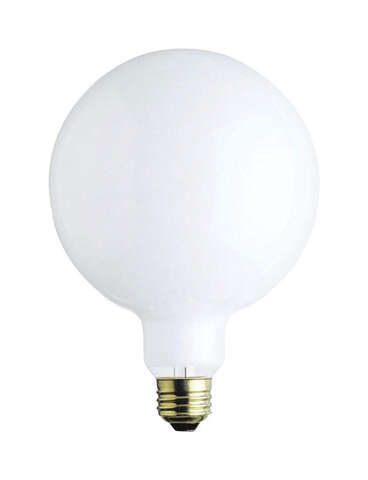 Westinghouse 60 W G40 Globe Incandescent Bulb E26 (Medium) White 1 pk