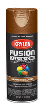 Krylon K02786007 Spray Paint, Hammered, Copper, 12 oz, Can