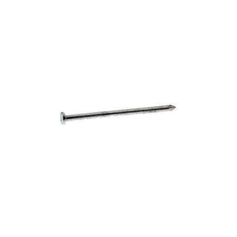 Grip-Rite 8D 2-1/2 in. Common Hot-Dipped Galvanized Steel Nail Flat Head 50 lb