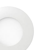 Allway 6 in. W Plastic Putty Knife, Pack of 12