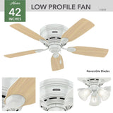 Hunter Low Profile 42 in. White Indoor Ceiling Fan