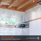 Sylvania TruWave B10 E12 (Candelabra) LED Bulb Daylight 60 Watt Equivalence 2 pk
