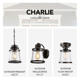 Globe Electric Charlie 9.6 in. H X 6.7 in. W X 6.7 in. L Oil Rubbed Bronze Ceiling Light