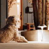 Feit OneSync Brushed Nickel Solar Powered 40 W LED Pathway Light 1 pk