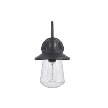 Globe Electric Mariner 1-Light Matte Black Wall Sconce
