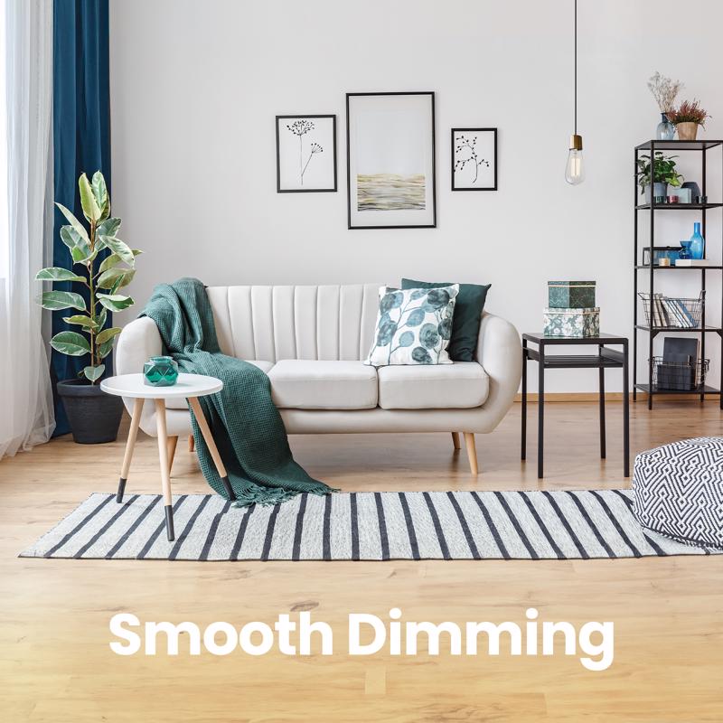 Feit ST19 E26 (Medium) Filament LED Bulb Soft White 40 Watt Equivalence 2 pk