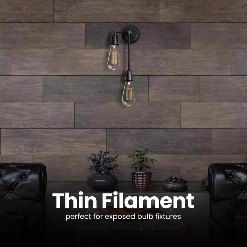 Feit ST19 E26 (Medium) Filament LED Bulb Daylight 40 Watt Equivalence 2 pk