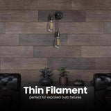 Feit ST19 E26 (Medium) Filament LED Bulb Daylight 40 Watt Equivalence 2 pk