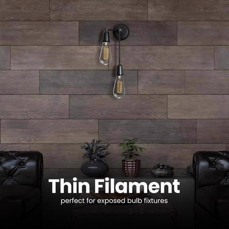 Feit ST19 E26 (Medium) Filament LED Bulb Daylight 40 Watt Equivalence 2 pk