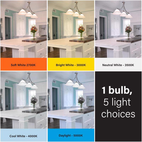 Feit A19 E26 (Medium) LED Bulb Adjustable White 75 Watt Equivalence 2 pk