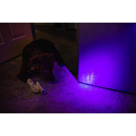 NEBO Black LED UV Flashlight AAA Battery