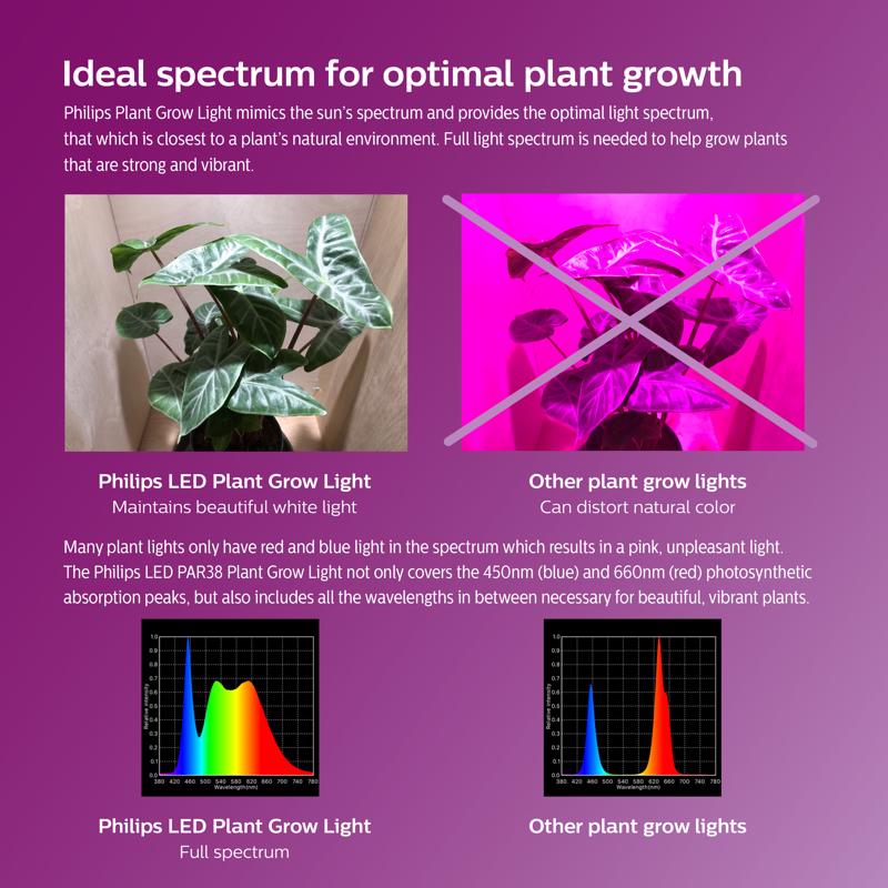 Philips PAR 38 E26 (Medium) LED Bulb Daylight 120 Watt Equivalence 1 pk