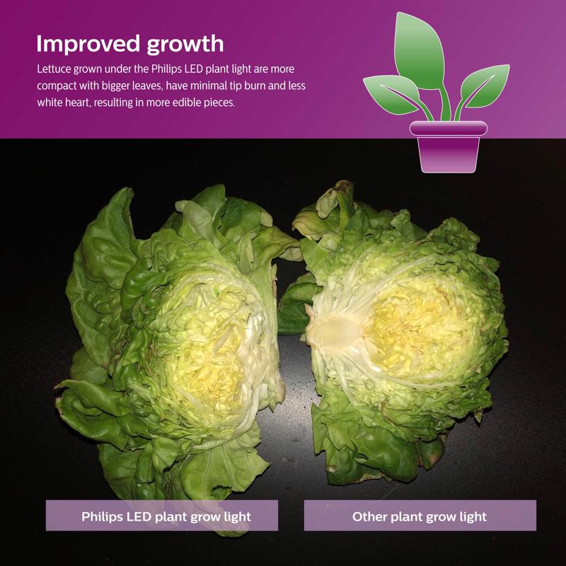 Philips PAR 38 E26 (Medium) LED Bulb Daylight 120 Watt Equivalence 1 pk