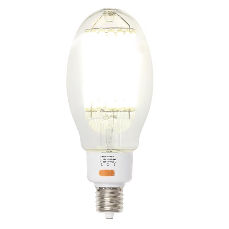 Westinghouse ED37 EX39 (Mogul) Filament LED Bulb Daylight 450 Watt Equivalence 1 pk
