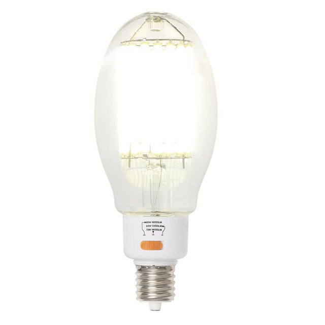 Westinghouse ED37 EX39 (Mogul) Filament LED Bulb Daylight 450 Watt Equivalence 1 pk