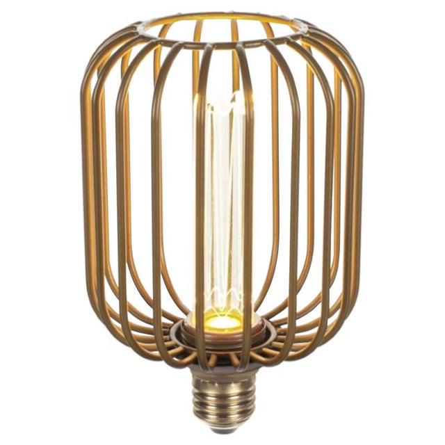 Globe Electric Decorative E26 (Medium) LED Bulb Soft White 3 Watt Equivalence 1 pk