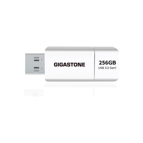 Gigastone Flash Drive 256 GB 1 pk