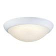 Westinghouse Redbank 6137300 Indoor Flush-Mount Ceiling Fixture, LED Lamp, 1350 Lumens, White Fixture