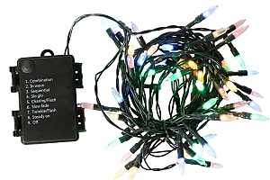 Santas Forest 03720 LED Mini Lights, Mini/Christmas, 50-Lamp, LED Lamp, Multi Lamp, 10 ft L