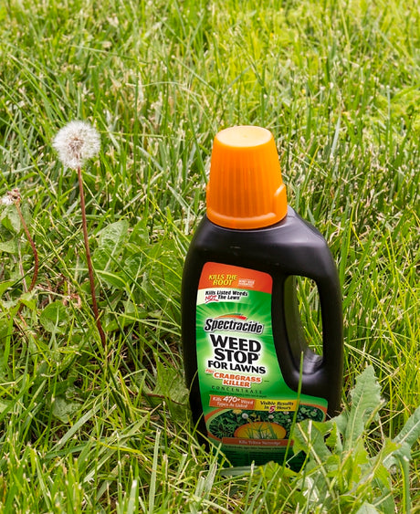 Spectracide HG-96393 Weed Stop Crabgrass Killer, Liquid, Brown, 32 fl-oz