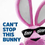 Energizer Ultimate Lithium AAA 1.5 V 1250 mAh Battery L92BP-4 4 pk