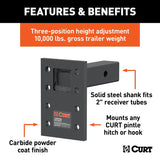 Curt 48323 Adjustable Pintle-Mount Plate, Steel, Carbide Powder-Coated, Black