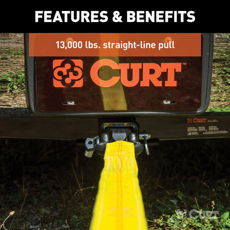 Curt 45832 D-Ring Shackle-Mount, 4, 5 Hitch, Steel, Carbide Powder-Coated