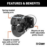 Curt 48210 Pintle Hook, 2-1/2 to 3 in Dia Eye, 20,000 lb Working Load, Steel, Carbide Powder-Coated