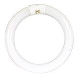 Feit Legacy Bulbs 22 W T9 8.3 in. D X 8.3 in. L Circline Fluorescent Bulb Cool White Circular 4100 K