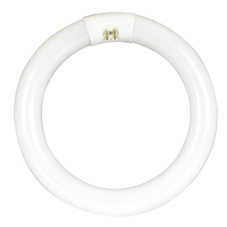 Feit Legacy Bulbs 22 W T9 8.3 in. D X 8.3 in. L Circline Fluorescent Bulb Cool White Circular 4100 K