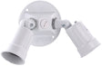 Hubbell 5625-1 Lamp Holder, Combination, Weatherproof, 3.336 in L x 8 in W x 4.125 in H Dimensions, 120 V