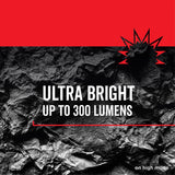 Rayovac Workhorse Pro 300 lm Black LED Flashlight AAA Battery