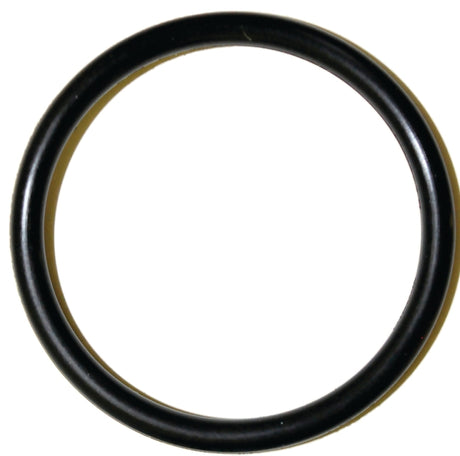 Danco 35778B Faucet O-Ring, #64, 1-1/8 in ID x 1-5/16 in OD Dia, 3/32 in Thick, Buna-N, Pack of 5