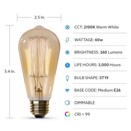 Feit The Original 60 W ST19 Vintage Incandescent Bulb E26 (Medium) Soft White 1 pk, Pack of 6