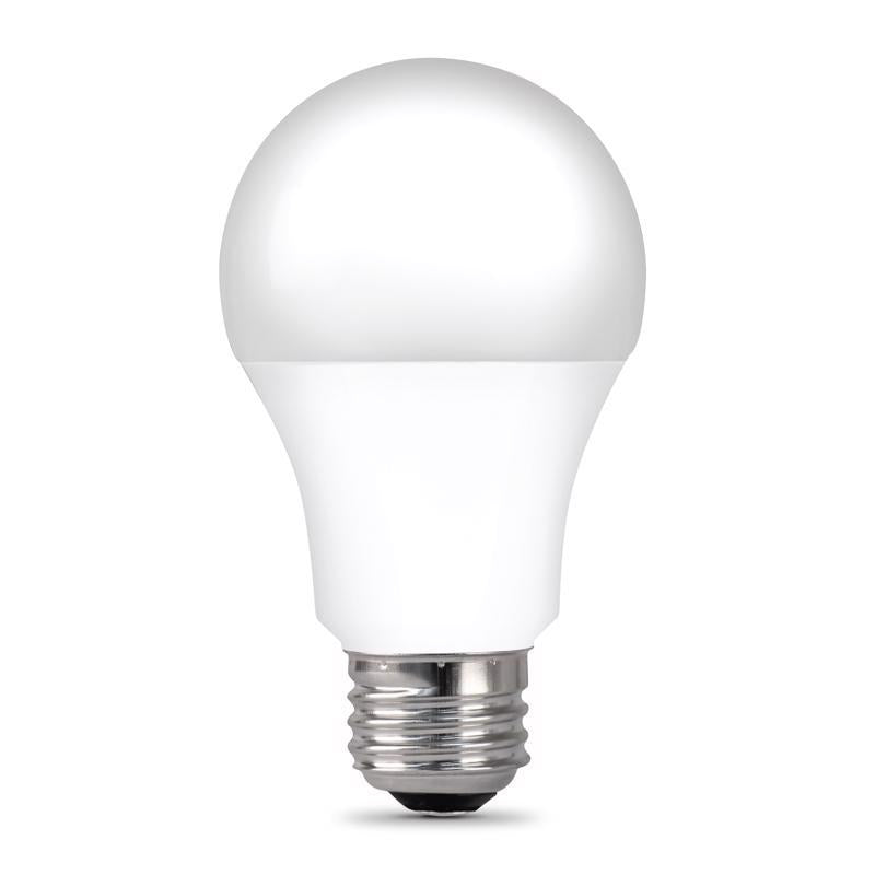 Ace A19 E26 (Medium) LED Bulb Daylight 40 Watt Equivalence 4 pk, Pack of 6