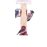 Feathered Friend 14366 Cracked Corn Wild Bird Food, 5 lb Bag, Attracts: Birds, Jay, Quail, Sparrow