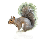 Feathered Friend 14367 Wild Bird Food, 10 lb, Bag