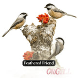Feathered Friend 14368 Peanuts Wild Bird Food, Straight, Seed, 3 lb Bag