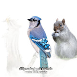 Feathered Friend 14369 Shelled Peanuts Wild Bird Food, 3 lb, Bag