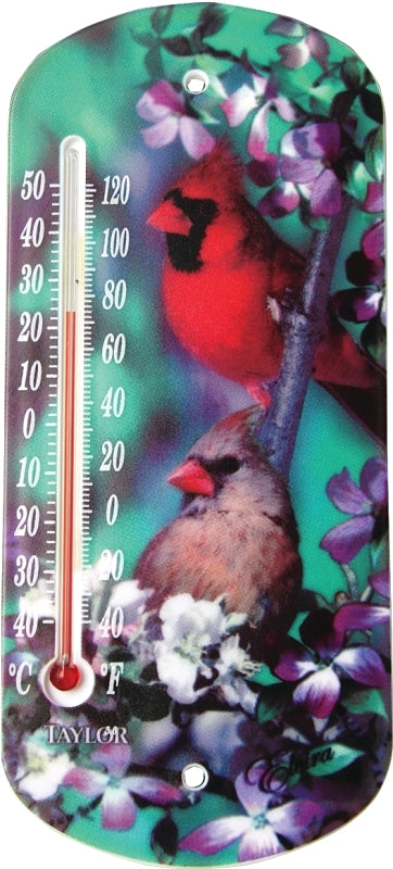 Taylor 5204 Thermometer, 1/2 x 4 x 8 in Dimensions, -40 to 120 deg F