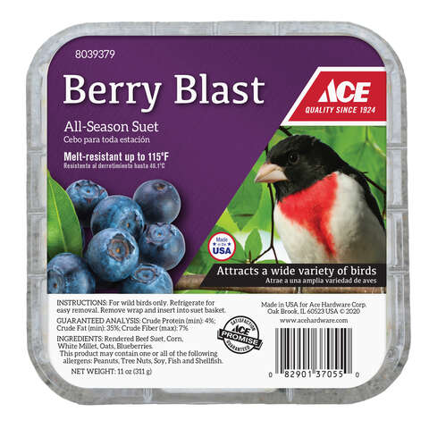 Ace Berry Blast Assorted Species Beef Suet 11 oz, Pack of 12