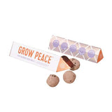 Modern Sprout Grow Peace Assorted Herbs Seed Balls 1 pk, Pack of 6