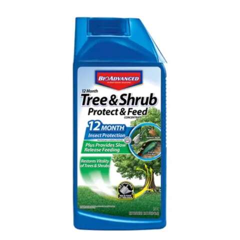 BioAdvanced 12 Month Tree and Shrub Protect & Feed Concentrate 32 oz