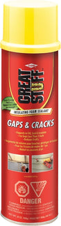 Dow GREAT STUFF PRO 157909 Insulating Foam Sealant, Cream, 20 oz Can