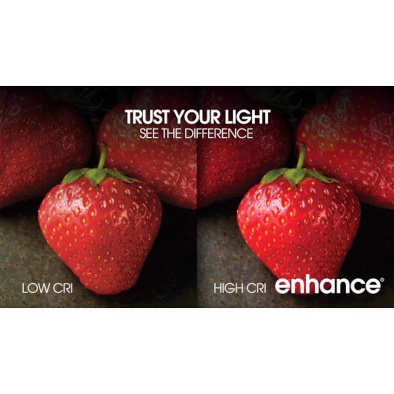 Feit Enhance A21 E26 (Medium) Filament LED Bulb Daylight 100 Watt Equivalence 2 pk