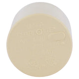 Charlotte Pipe FlowGuard 3/4 in. Hub CPVC Cap 1 pk, Pack of 25