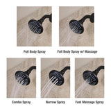 Danco Matte Black 5 settings Showerhead 1.8 gpm