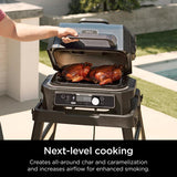 Ninja Woodfire Rotating Grill Grate